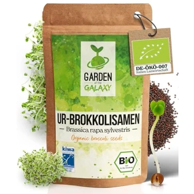 Abbildung von GotG® Bio Ur Brokkoli Samen [25g, 200g &amp; 500g] Brokkolisamen mit hohem Sulforaphan Gehalt dank Sorte &quot;Brassica rapa sylvestris&quot; bis zu 99% Keimrate Premium Sprossen zum Keimsprossen ziehen