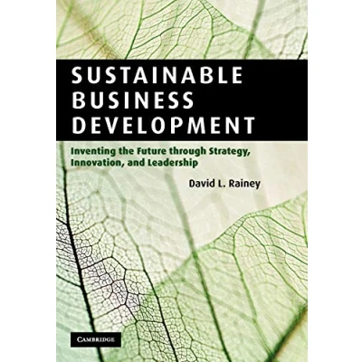 Abbildung von Sustainable Business Development: Inventing the Future Through Strategy, Innovation, and Leadership