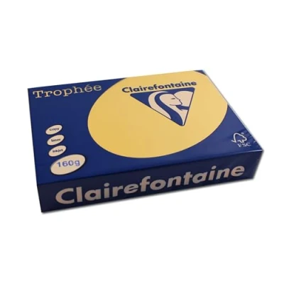Abbildung von 4 x Clairefontaine Kopierpapier Trophee Pastell A4 160g/qm goldgelb VE