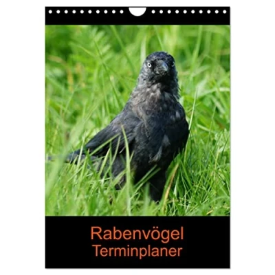 Abbildung von Rabenvögel Terminplaner (Wandkalender 2025 DIN A4 hoch), CALVENDO Monatskalender