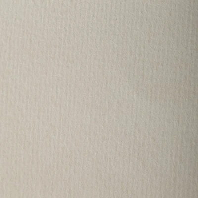 Abbildung von Clairefontaine 90857C Packung (mit 5 Bögen Zeichenpapier Etival Color, DIN A4, 21 x 29,7 cm, 160g, gekörnt, ideal für Trockentechnik und Einrahmen) naturgrau