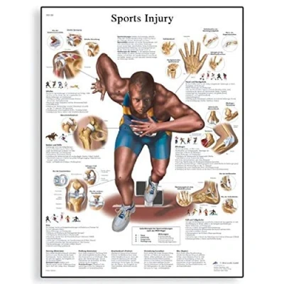 Abbildung von 3B Scientific VR1188UU Anatomie des Menschen Schaubild der Sportverletzungen, gedruckte Version
