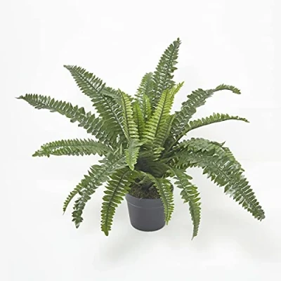 Abbildung von Homescapes Kunstpflanze Nephrolepis Exaltata, künstlicher Schwertfarn für den Indoor Bereich, üppiger Kunstfarn im Topf, künstliche Tropische Pflanze, 60 cm