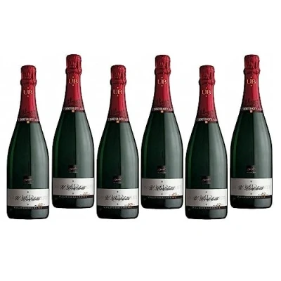 Abbildung von BORTOLOTTI 47 VALDOBBIADENE DOCG PROSECCO SUPERIORE EXTRA DRY 75 CL 6 FLASCHEN