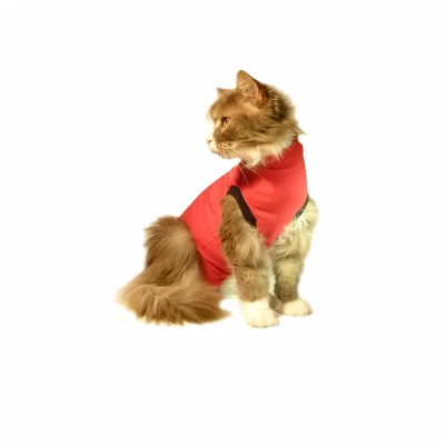 Abbildung von Medical Pet Shirt Katze XXXS (29 37 cm)