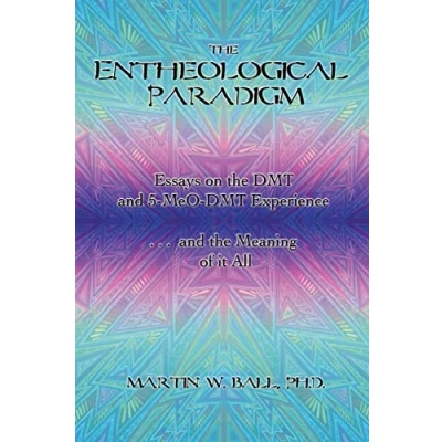 Abbildung von the Entheological Paradigm: Essays on DMT and 5 MeO Experience, Meaning of it All (The Entheogenic Evolution, Band 2)