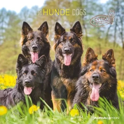 Abbildung von Alpha Edition Hunde 2025 Broschürenkalender, 30x30cm, Wandkalender mit Platz für Notizen und Termine, schöne Motive, Monatsübersicht Ferientermine DE/AT/CH