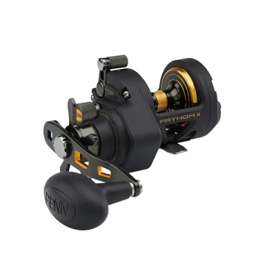 Abbildung von Penn Fathom II Star Drag RH Meeresrolle 12 Multirolle
