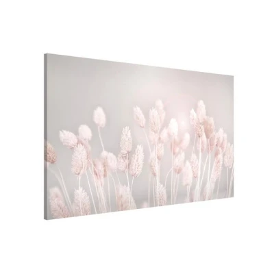 Abbildung von Bilderdepot24 Magnettafel Küche beige Helles Gras im Sonnenlicht, (1 tlg., Magnetboard Pinnwand für die Wand metallische Tafel Magnete), Magnetwand groß mit Motiv Büro Memoboard magnetisch Querformat