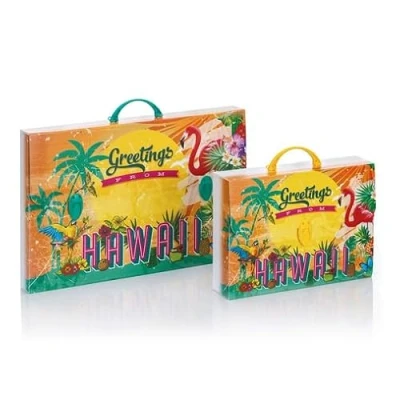 Abbildung von Favorit Koffer mit Aufdruck Hawaii Aloha aus Polypropylen, Bedruckt, Format 56,5 x 36,5 cm, Rücken 5,5 runder Griff und Zwei Verschlüsse, Mehrfarbig, Formato 56,5x36,5 dorso Modern