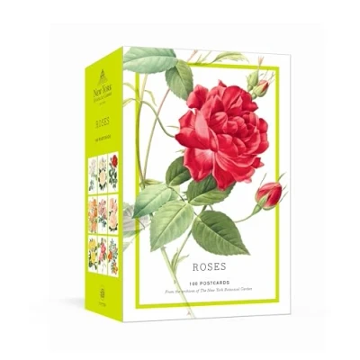 Abbildung von Roses: 100 Postcards from The Archives of New York Botanical Garden