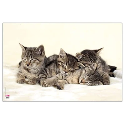 Abbildung von VELOFLEX 4651114 Schreibtischunterlage Katzen, 40 x 60 cm, rutschfest, abwischbar, mit transparenter Antireflex Schutzfolie, Schreibtischauflage, Malunterlage, Bastelunterlage