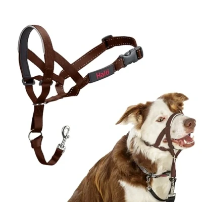 Abbildung von HALTI Kopfgeschirr Verhindert, dass Ihr Hund an der Leine zieht, Einfache Anpassung, Leicht, mit gepolstertem Nasenriemen, Anti Zug Halsband für mittelgroße Hunde (Größe 2, Walnussbraun)