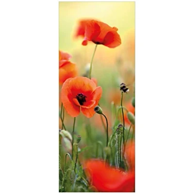 Abbildung von Wallario Glasbild Mohnblumenblüten 32 x 80 cm Wandbilder Glas in Premium Qualität: Brillante Farben, freischwebende Optik