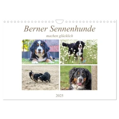 Abbildung von Berner Sennenhunde machen glücklich (Wandkalender 2025 DIN A4 quer), CALVENDO Monatskalender