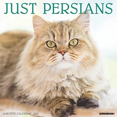 Abbildung von Just Persians 2023 Wall Calendar