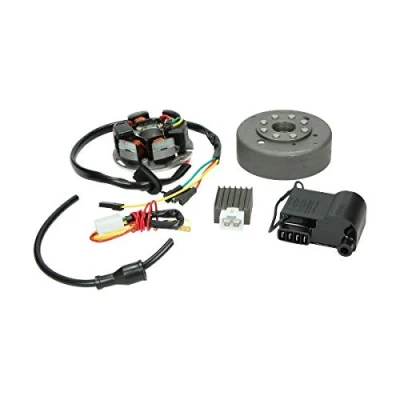 Abbildung von Zündung komplett Digital 12V CDI Kokusan Nachbau für Kreidler/Sachs/Zündapp DMP
