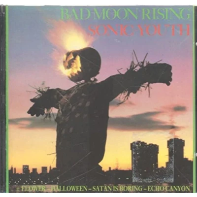 Abbildung von Sonic Youth Bad Moon Rising (Reissue) (LP)