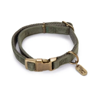 Abbildung von Designed by Lotte Hundehalsband Velura Grün 20 30cmx10mm