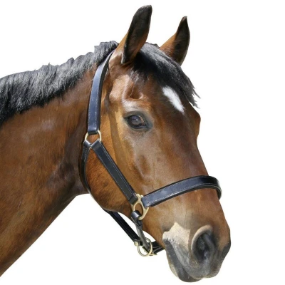 Abbildung von Kerbl Halfter Eco Leder Braun XWarmblut