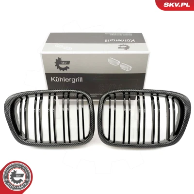 Abbildung von ESEN SKV 66SKV163 Kühlergrill carbon BMW: 5 Limousine