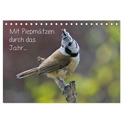 Abbildung von Mit Piepmätzen durch das Jahr ... (Tischkalender 2025 DIN A5 quer), CALVENDO Monatskalender