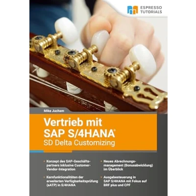 Abbildung von Vertrieb mit SAP S/4HANA SD Delta Customizing