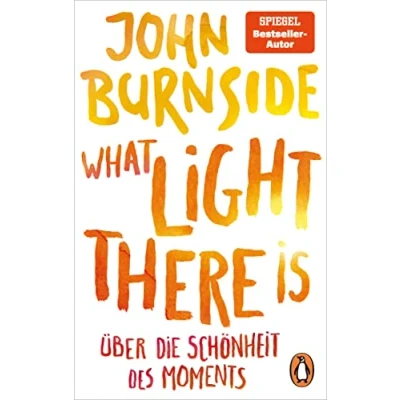 Abbildung von What light there is Über die Schönheit des Moments