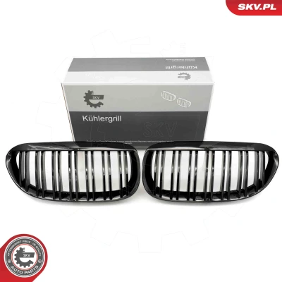 Abbildung von ESEN SKV 66SKV205 Kühlergrill schwarz, glänzend BMW: 6 Cabrio