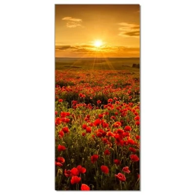 Abbildung von Wallario Selbstklebende Türtapete Mohnblumenwiese bei Sonnenuntergang am Abend Türposter 93 x 205 cm Abwischbar, rückstandsfrei zu entfernen