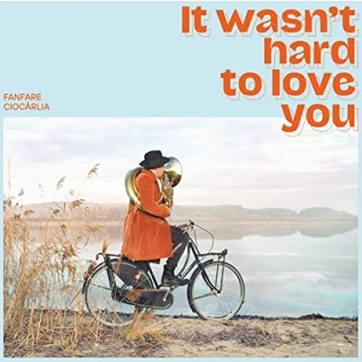 Abbildung von It Wasn&#039;T Hard to Love You [Vinyl LP]