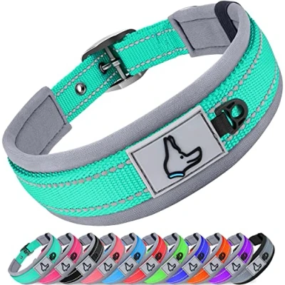 Abbildung von Joytale Halsband Hund, Weich Hundehalsband Gepolstert Neopren Hunde für Extra Große Hunde, Nylon Reflektierend Breit Halsbänder, Türkis