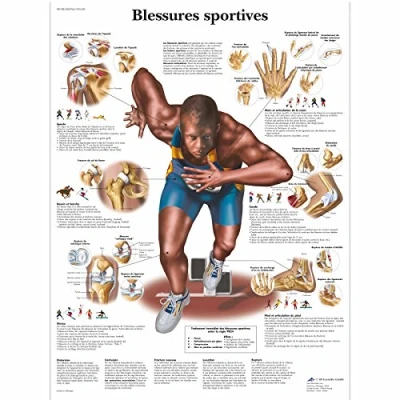 Abbildung von 3B Scientific Lehrtaffel Blessures sportives Französisch