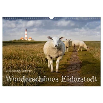 Abbildung von Wunderschönes Eiderstedt (Wandkalender 2025 DIN A3 quer), CALVENDO Monatskalender