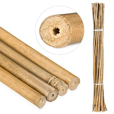 Abbildung von Relaxdays Bambusstäbe 105cm, aus natürlichem Bambus, 25 Stück, Bambusstangen als Rankhilfe oder Deko, zum Basteln, natur, 105 x 9 cm