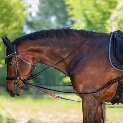 Abbildung von Waldhausen Dreieckzügel W TrainRein Pony