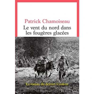 Abbildung von Le Vent du nord dans les fougères glacées