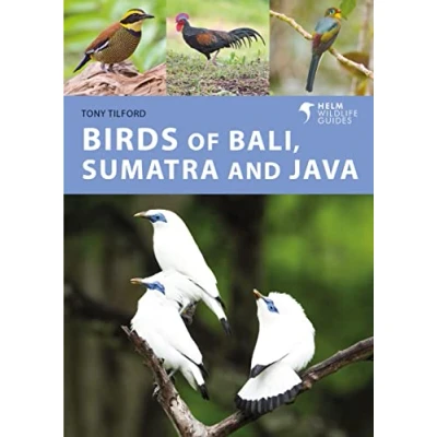 Abbildung von Birds of Bali, Sumatra and Java: A Photographic Guide (Helm Wildlife Guides)