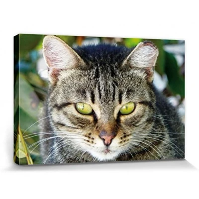 Abbildung von 1art1 Katzen Poster Getigerte Katze, Nahaufnahme Bilder Leinwand Bild Auf Keilrahmen XXL Wandbild Kunstdruck Als Leinwandbild 30x20 cm