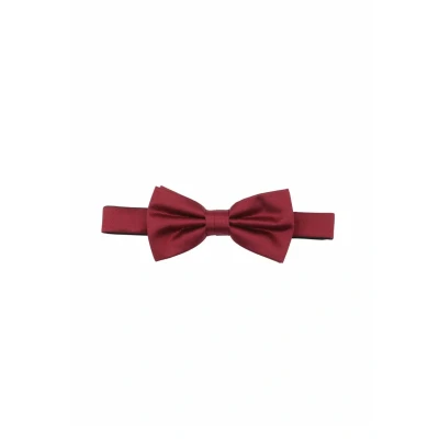 Abbildung von Prince Bowtie Fliege Klassische Schleife