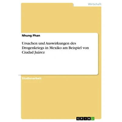 Abbildung von Ursachen und Auswirkungen des Drogenkriegs in Mexiko am Beispiel von Ciudad Juárez