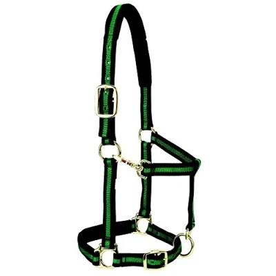 Abbildung von Weaver Leather Padded Adjustable Nylon Horse Halter, Green, 1&quot; Small