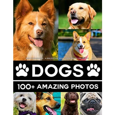 Abbildung von Dog Photography A Dogs Picture Book Amazing Big Collection: 100+ Pictures of in this Beautiful Photo