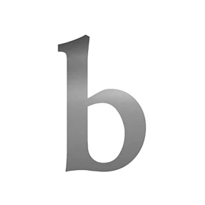 Abbildung von Buchstaben Aufkleber b in silber I Serifen Höhe 10 cm selbstklebende Haus Nummer Ergänzung, Buchstabe zum Aufkleben für Außen, Briefkasten, Tür wetterfest kfz479b