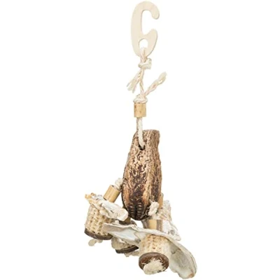 Abbildung von Trixie Natural toy, mahogany pod/sea shells, 26 cm