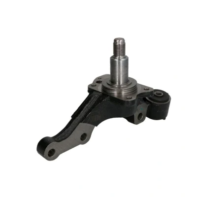 Abbildung von REINHOCH RH08 7001 Achsschenkel Hinterachse links HYUNDAI: Tucson, KIA: Sportage II