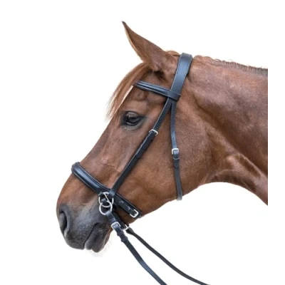 Abbildung von Star Gebisslose Trense Schwarz XWarmblut