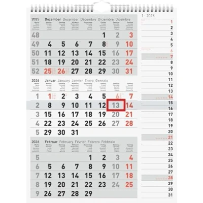 Abbildung von rido/idé 3 Monatskalender 2026 grau, 300x390 mm