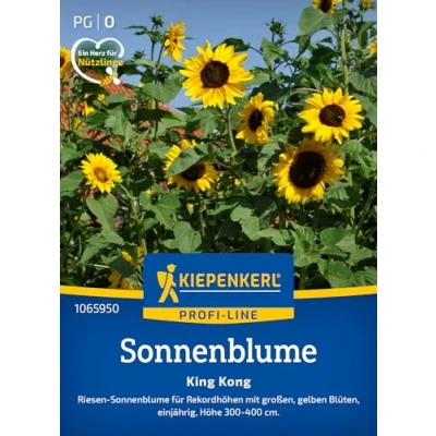 Abbildung von Kiepenkerl Profi Line Sonnenblumensamen King Kong 1065950 Riesen Sonnenblumen für Rekordhöhen circa 300 400cm Wildblumensamen, Blumenwiese, Saatgut
