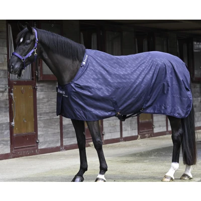 Abbildung von Bucas Stable Sheet